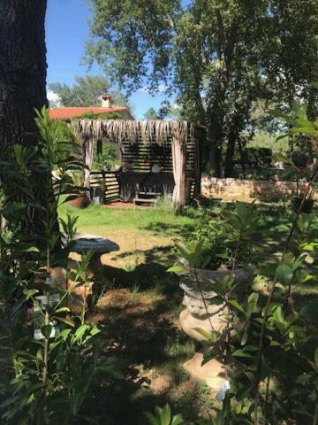 Petit Mas Provençal: Cozy Forest Retreat with Jacuzzi and Pool Saint-Paul-en-Foret Exterior photo